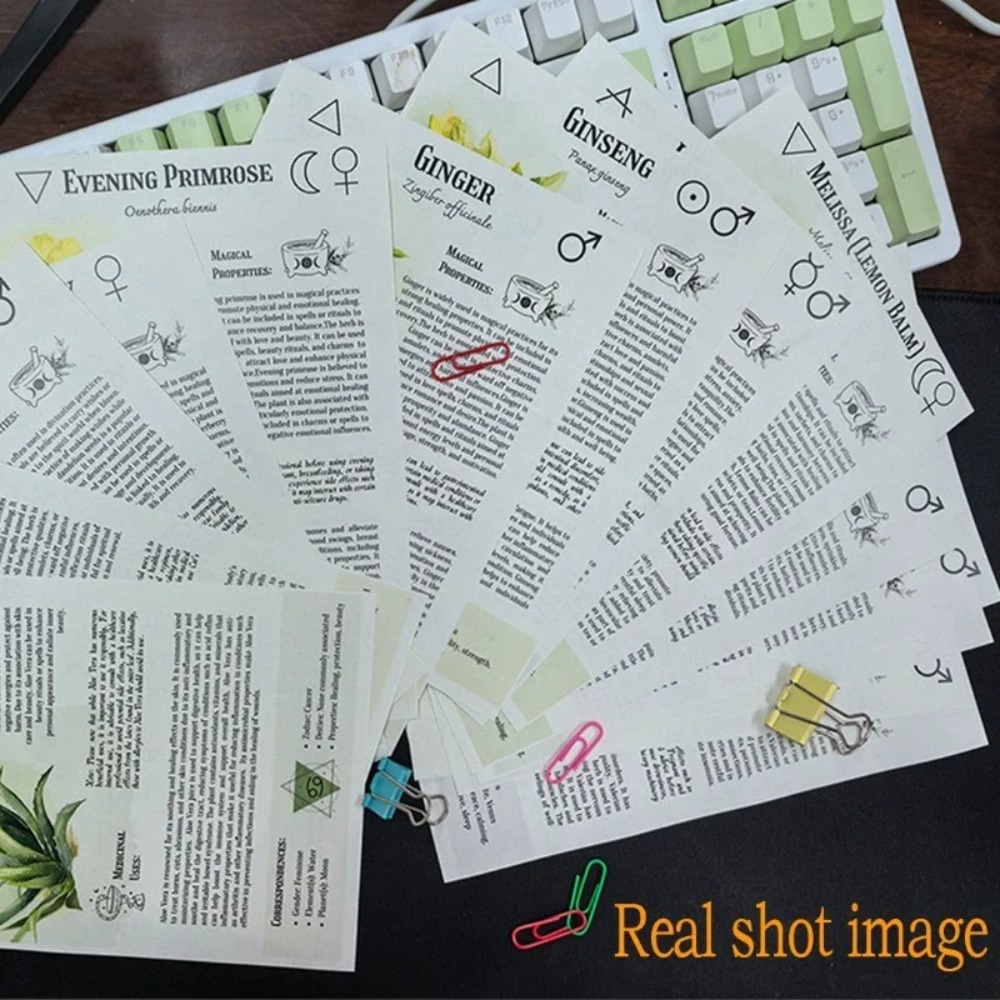 Tincture Recipes Book Crafting - Herbal Wellness Recipes 评论和价格